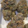 Umami Genetics Grandmas Cookies strain