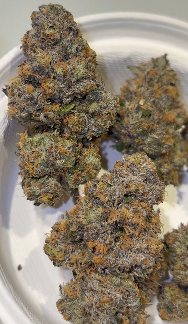 Umami Genetics Grandmas Cookies strain