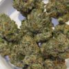 The Tenco Fish Bone strain
