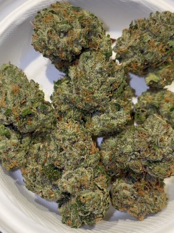 The Tenco Fish Bone strain