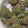 The Tenco Fish Bone strain