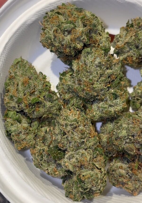 The Tenco Fish Bone strain