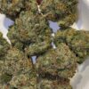 The Tenco Fish Bone strain
