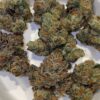 Elusive 3.14 Pichew strain