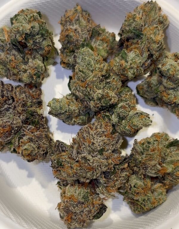 Elusive 3.14 Pichew strain