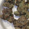 Elusive 3.14 Pichew strain