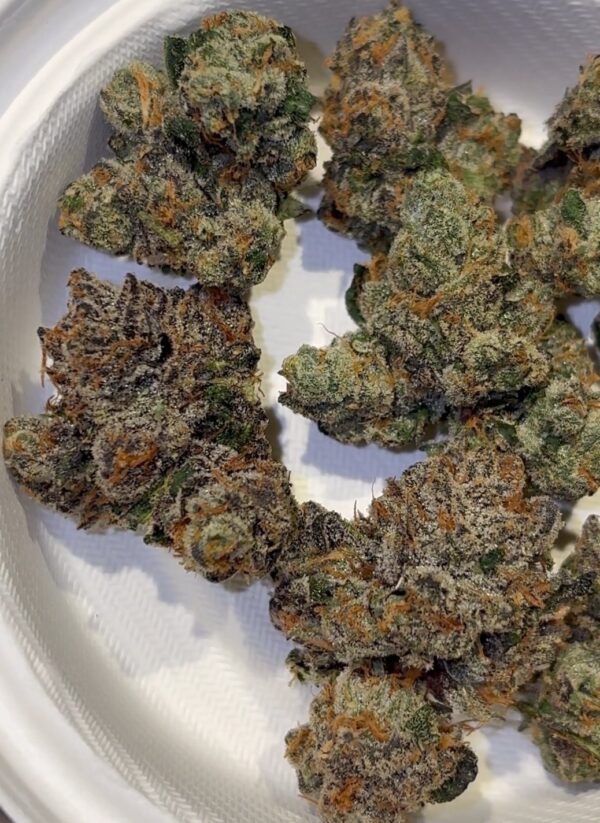 Elusive 3.14 Pichew strain