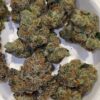 Elusive 3.14 Pichew strain