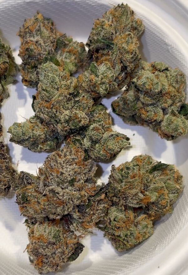 Elusive 3.14 Pichew strain