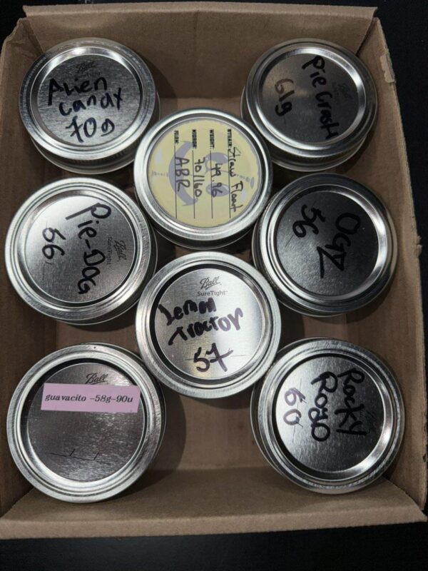 Feelgood LA Trilogy Hash Jar
