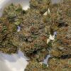 The TenCo Zchew cannabis strain