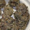 Keepers White Zinfandel strain