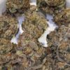 Keepers White Zinfandel strain