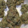 Dank Mob Crown Melonz strain