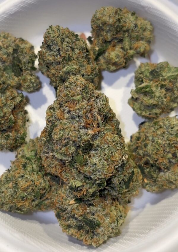 Dank Mob Crown Melonz strain