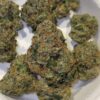 Dank Mob Crown Melonz strain