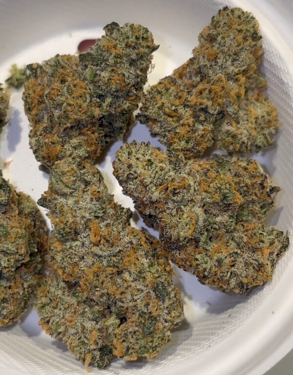 Dank Mob Mandarin Cream strain