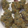 Dank Mob Mandarin Cream strain