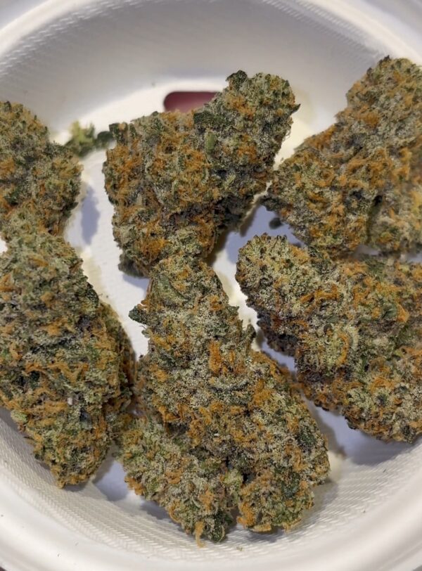 Dank Mob Mandarin Cream strain