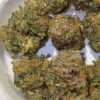 Dank Mob Zcream Pie strain