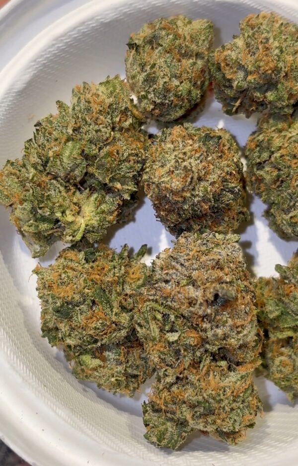 Dank Mob Zcream Pie strain