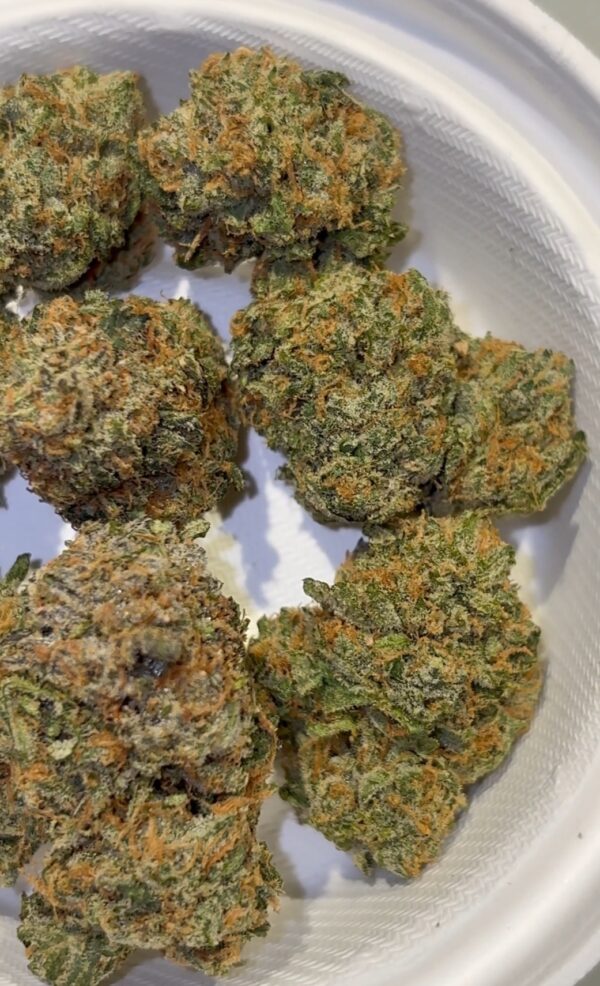 Dank Mob Zcream Pie strain