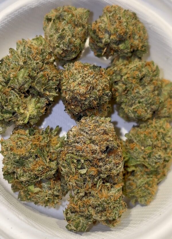 Dank Mob Zcream Pie strain