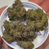 Sureberry strain nugs with orange pistils and heavy trichomes