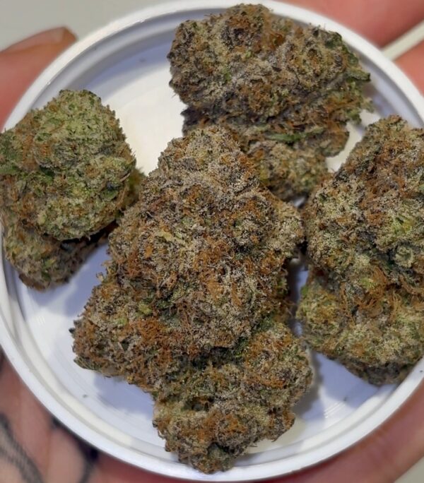 Surefire Selections Melon Berry frosty cannabis buds close up