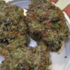 Umami Genetics weed