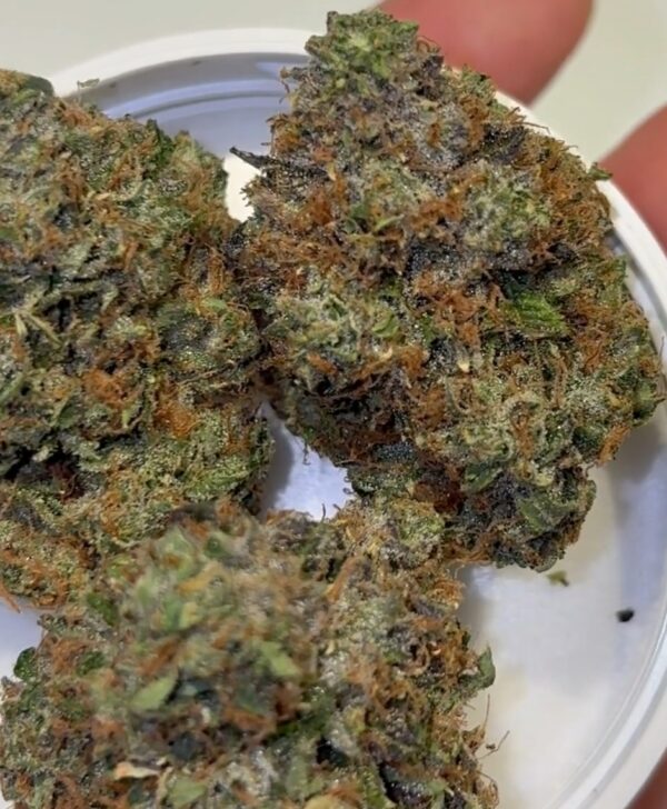 Umami Genetics weed