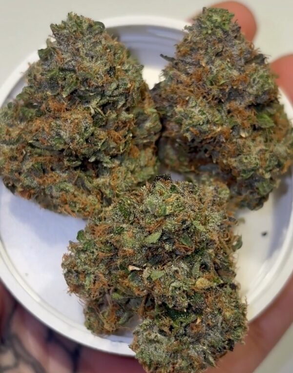 Umami Genetics weed