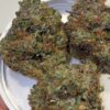 Umami Genetics weed