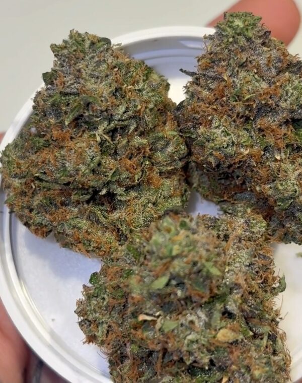 Umami Genetics weed