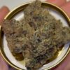Zero Gravity Exotics Papaya Cream