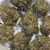 buy Fresh Vibez Pine Sol Paradise online