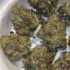 buy Fresh Vibez Pine Sol Paradise online