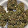 buy Maison O Cacapo Zoa online