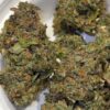 buy Maison O Cacapo Zoa online