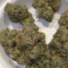 buy Selective Frogger online
